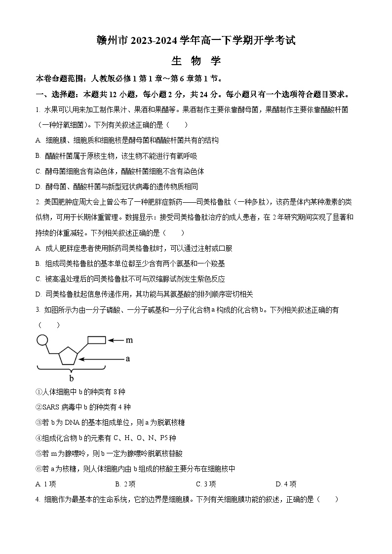 2024赣州高一下学期开学考生物试题