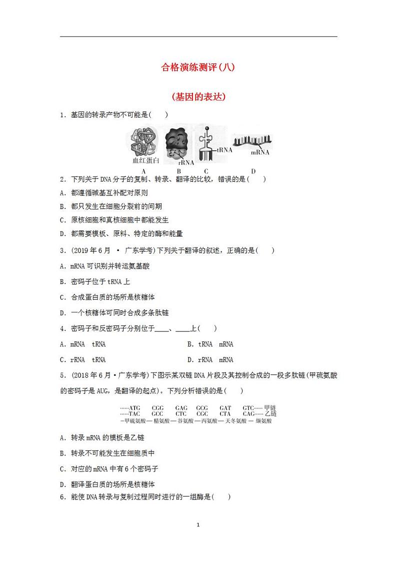 2024届高考生物学业水平测试复习合格演练测评八基因的表达第1页