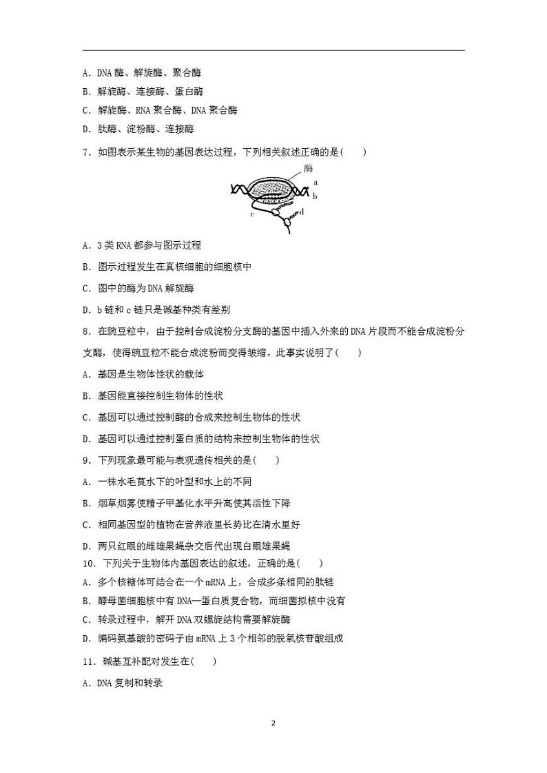 2024届高考生物学业水平测试复习合格演练测评八基因的表达第2页