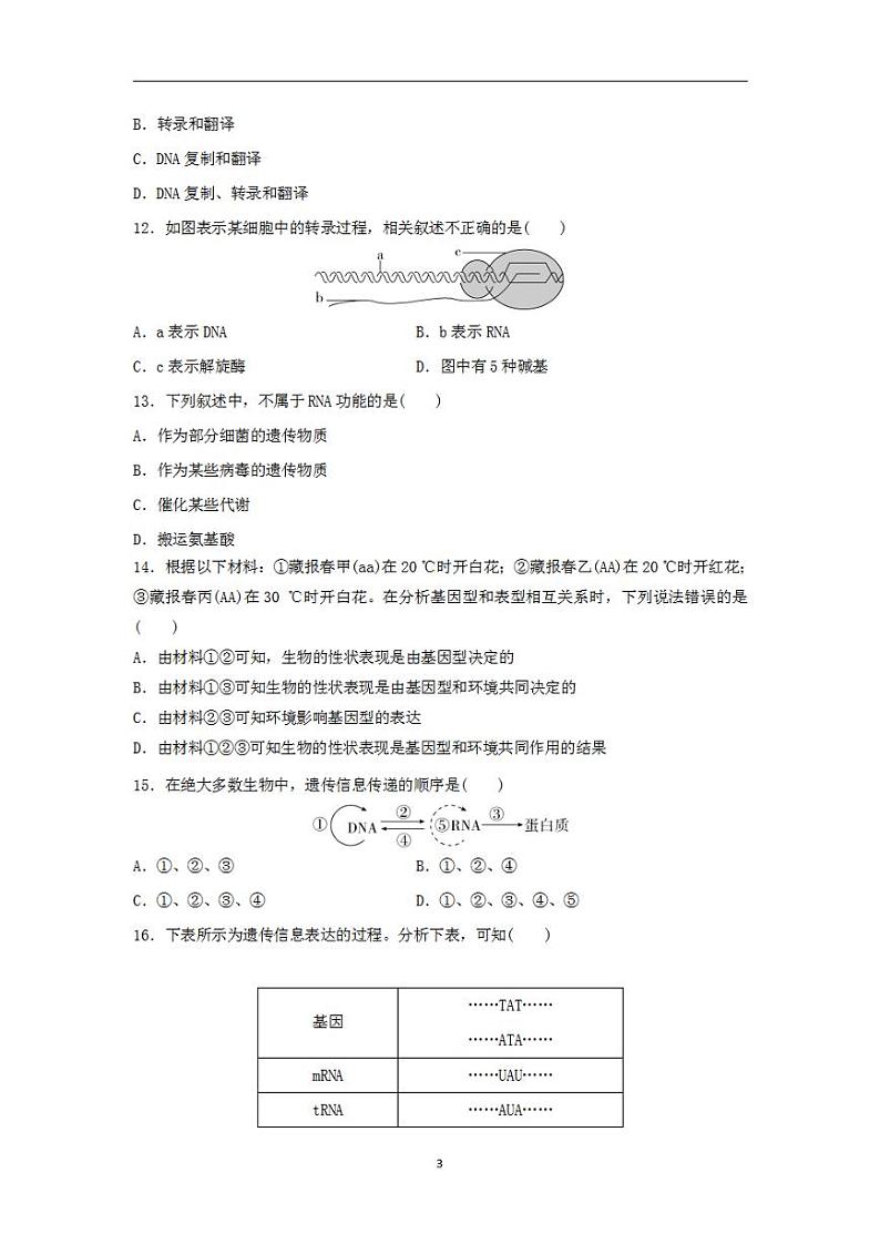 2024届高考生物学业水平测试复习合格演练测评八基因的表达第3页