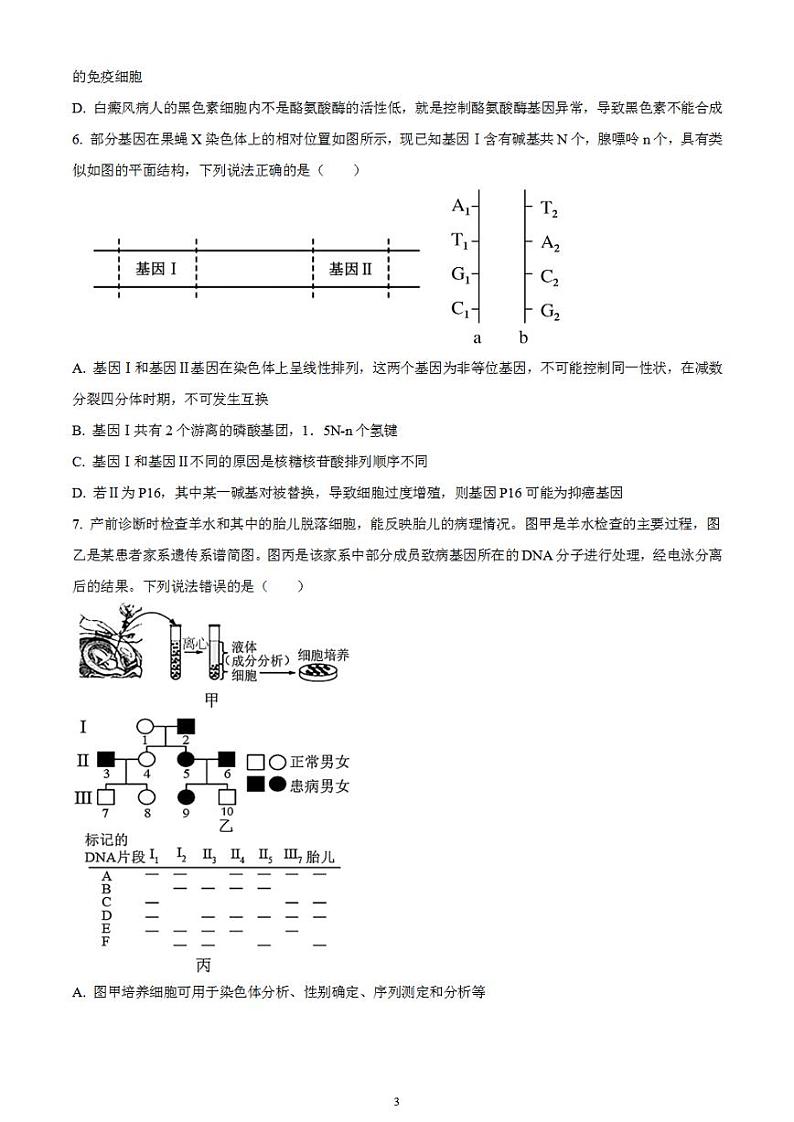 2024届湖南省衡阳市雁峰区衡阳市八中高三高考适应性练习(一)生物试题无答案第3页