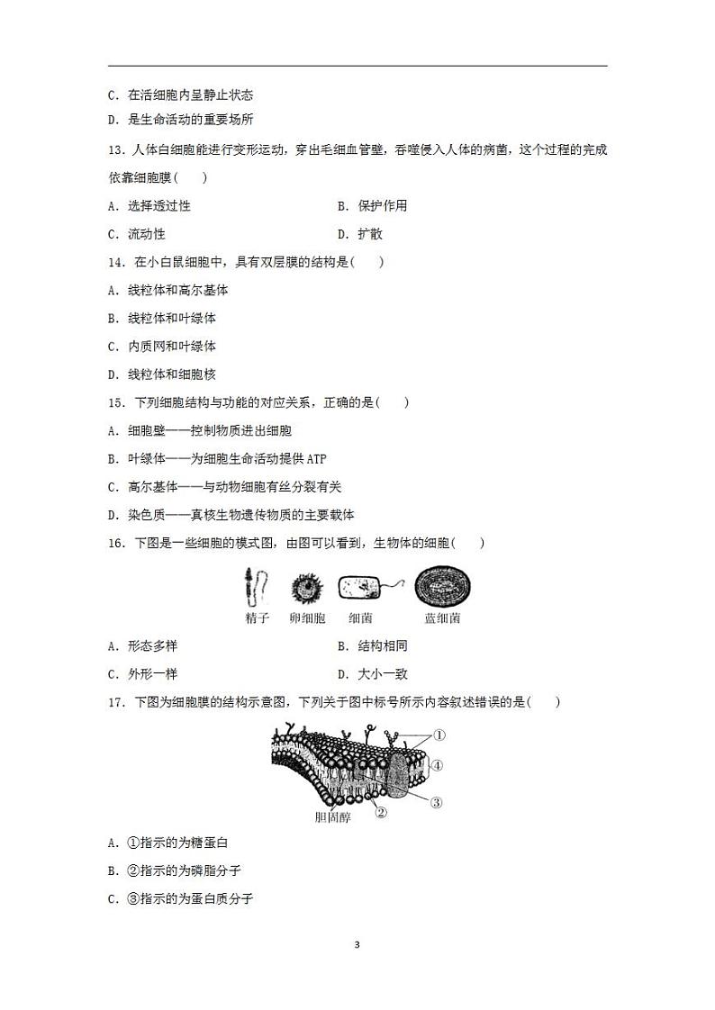 2024届高考生物学业水平测试复习合格演练测评二细胞的结构和功能第3页