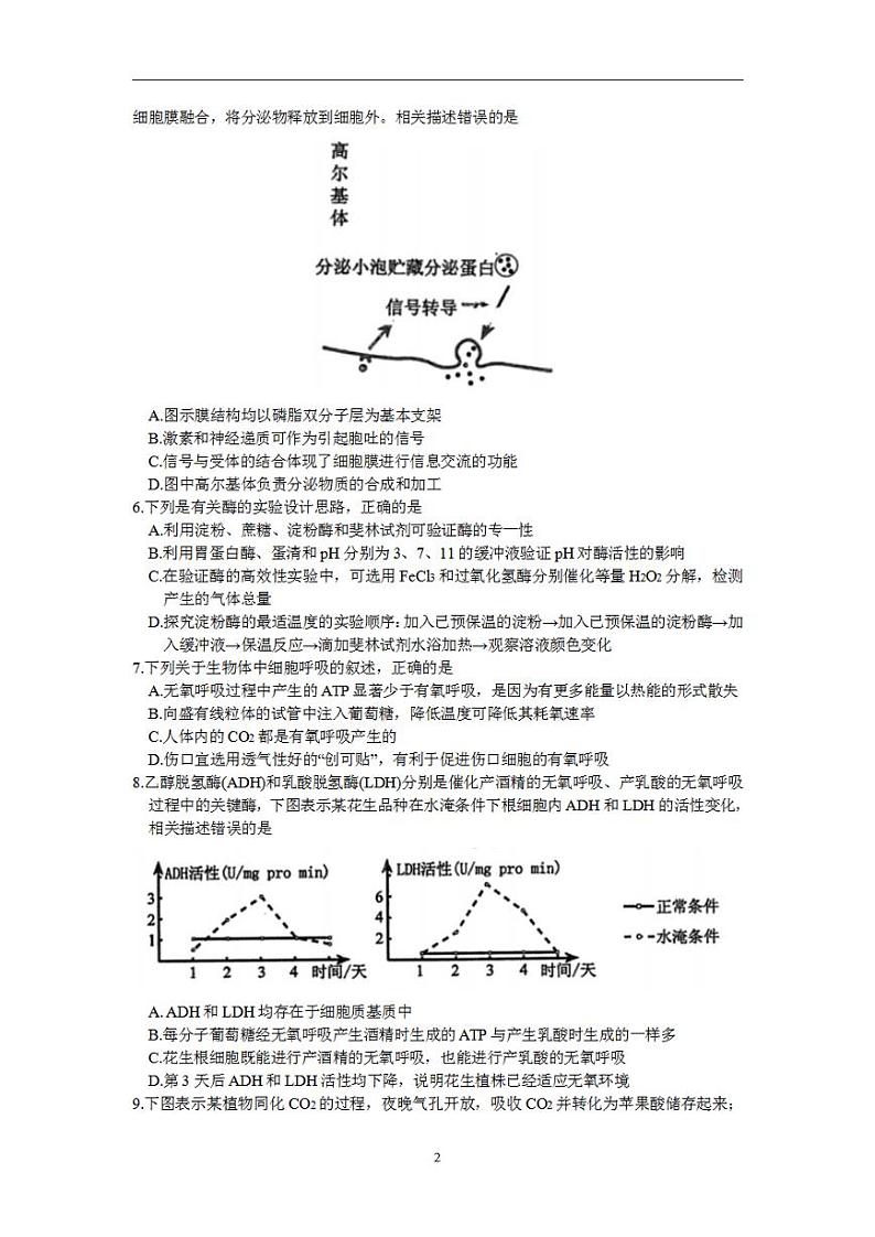 2024届河南省郑州市高三毕业班第一次质量预测(一模)生物试题第2页