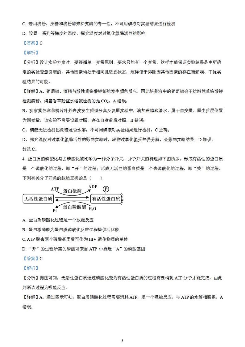 2024届湖南省衡阳市雁峰区衡阳市八中高三高考适应性练习(一)生物试题含解析第3页
