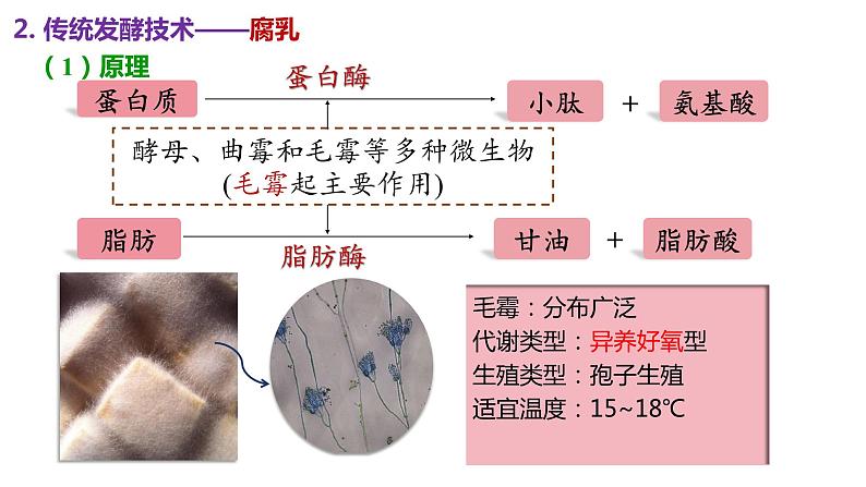 1.1传统发酵技术的应用课件-人教版(2019)选择性必修3第5页