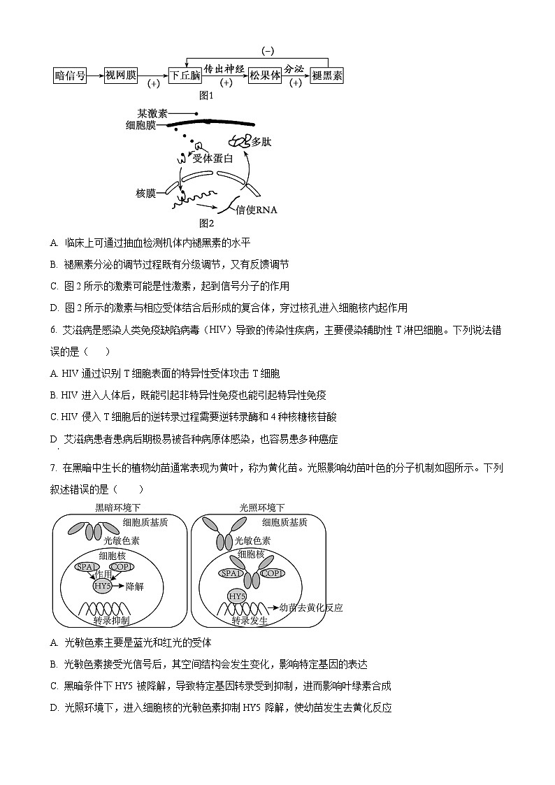精品解析:四川省雅安市天立教育集团2023-2024学年高二下学期开学考试生物试题(原卷版)第3页