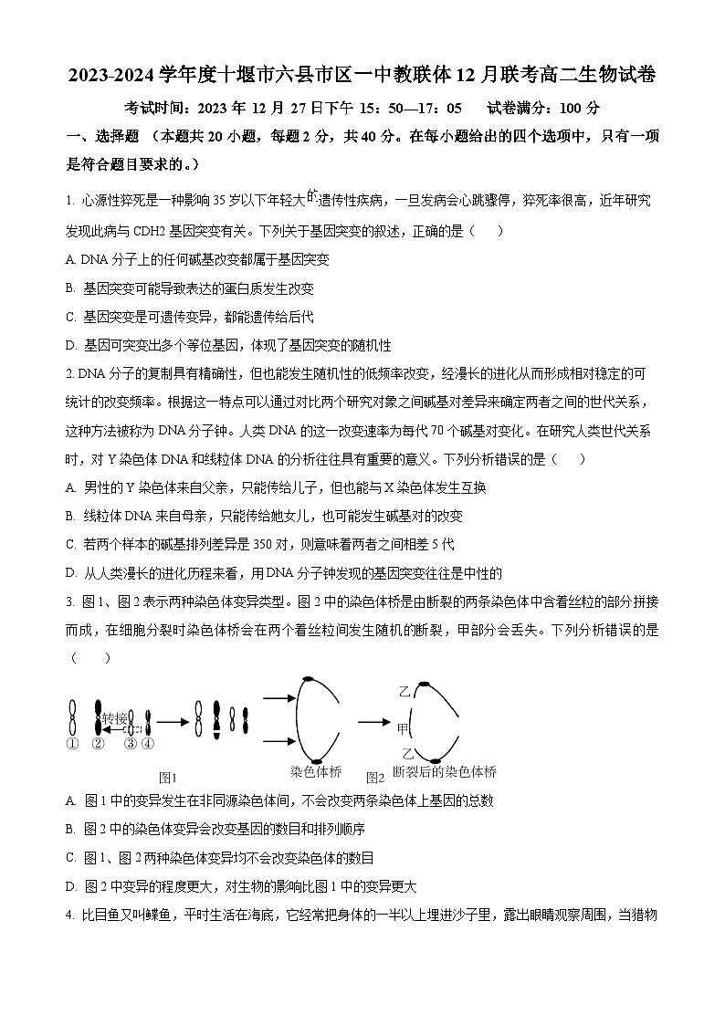 湖北省十堰市六县市区一中教联体2023-2024学年高二12月联考生物试题(原卷版)第1页