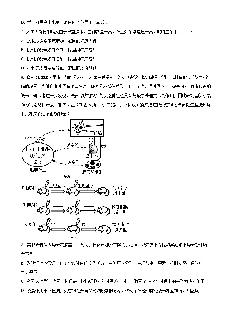 湖北省十堰市六县市区一中教联体2023-2024学年高二12月联考生物试题(原卷版)第3页