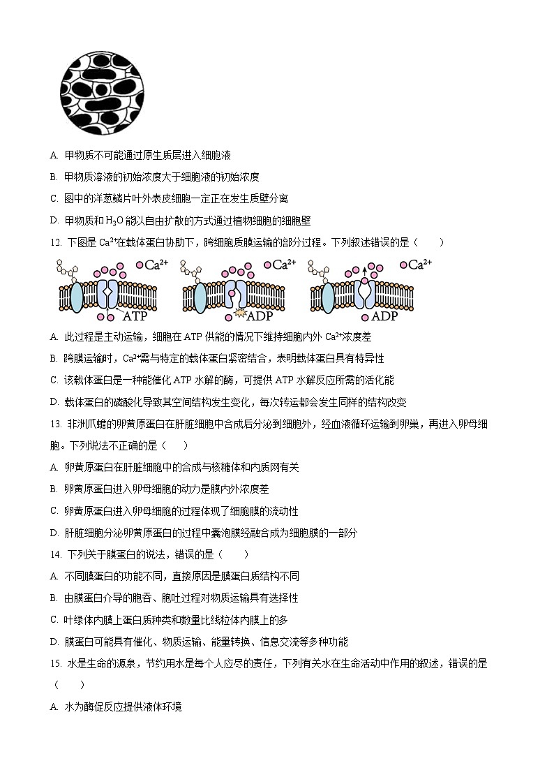 四川省泸州市泸县四中2023-2024学年高一下学期开学考试生物试题 (解析版)03