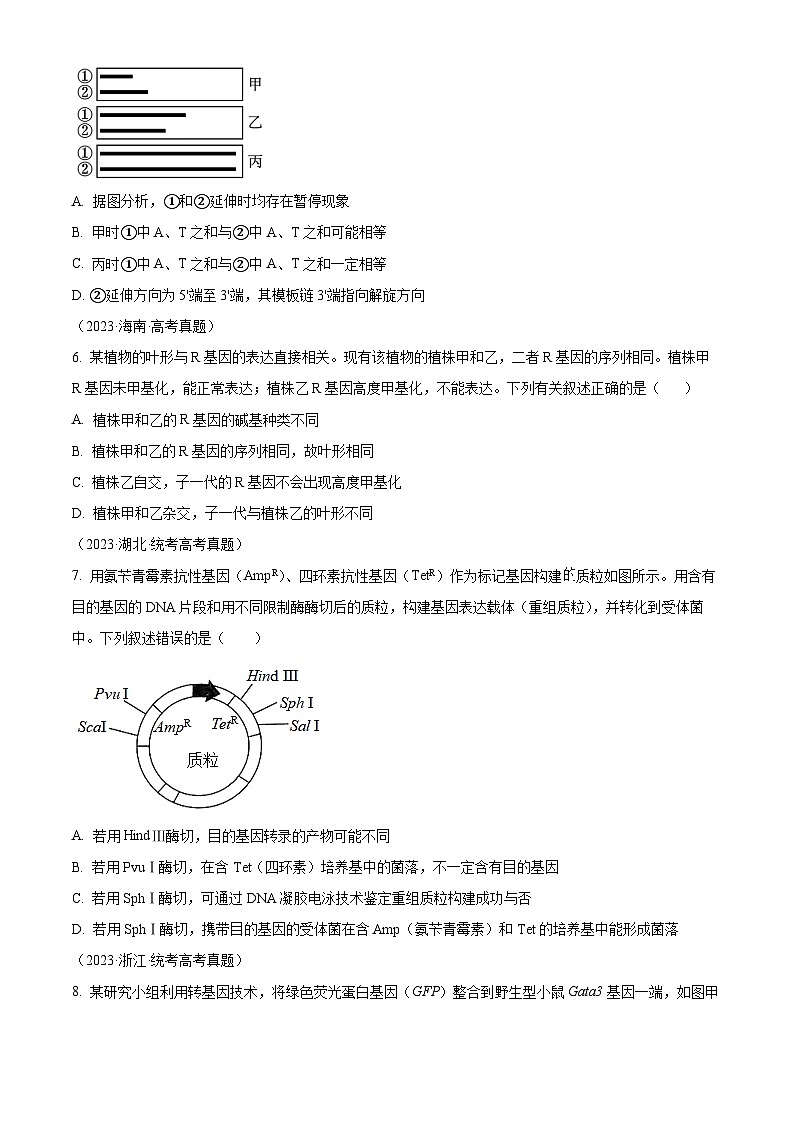 湖南省岳阳市平江县颐华高级中学2023-2024学年高三下学期入学考试生物学试题(原卷版+解析版)03