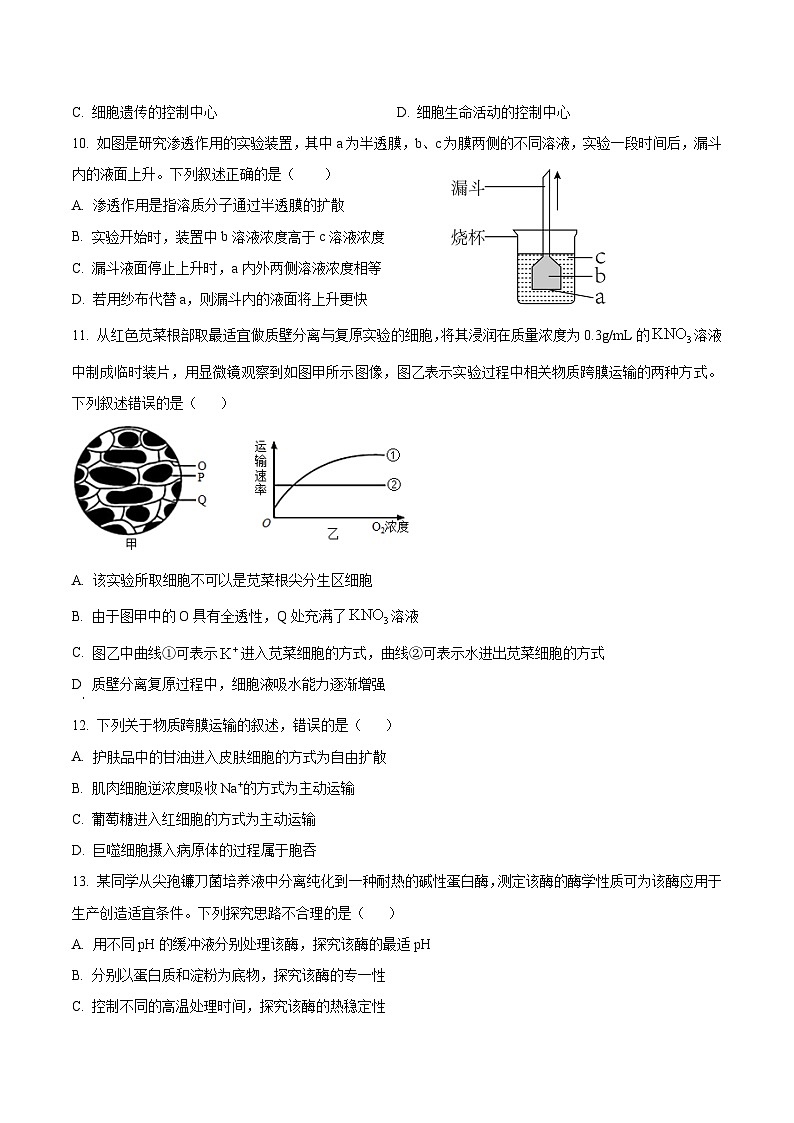 湖北省咸宁市崇阳县2023-2024学年高一下学期开学考生物学试题(原卷版+解析版)03