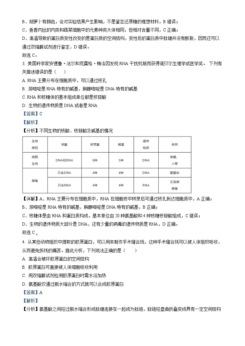 广东省湛江市雷州市二中2023-2024学年高一下学期开学生物试题(解析版)第2页