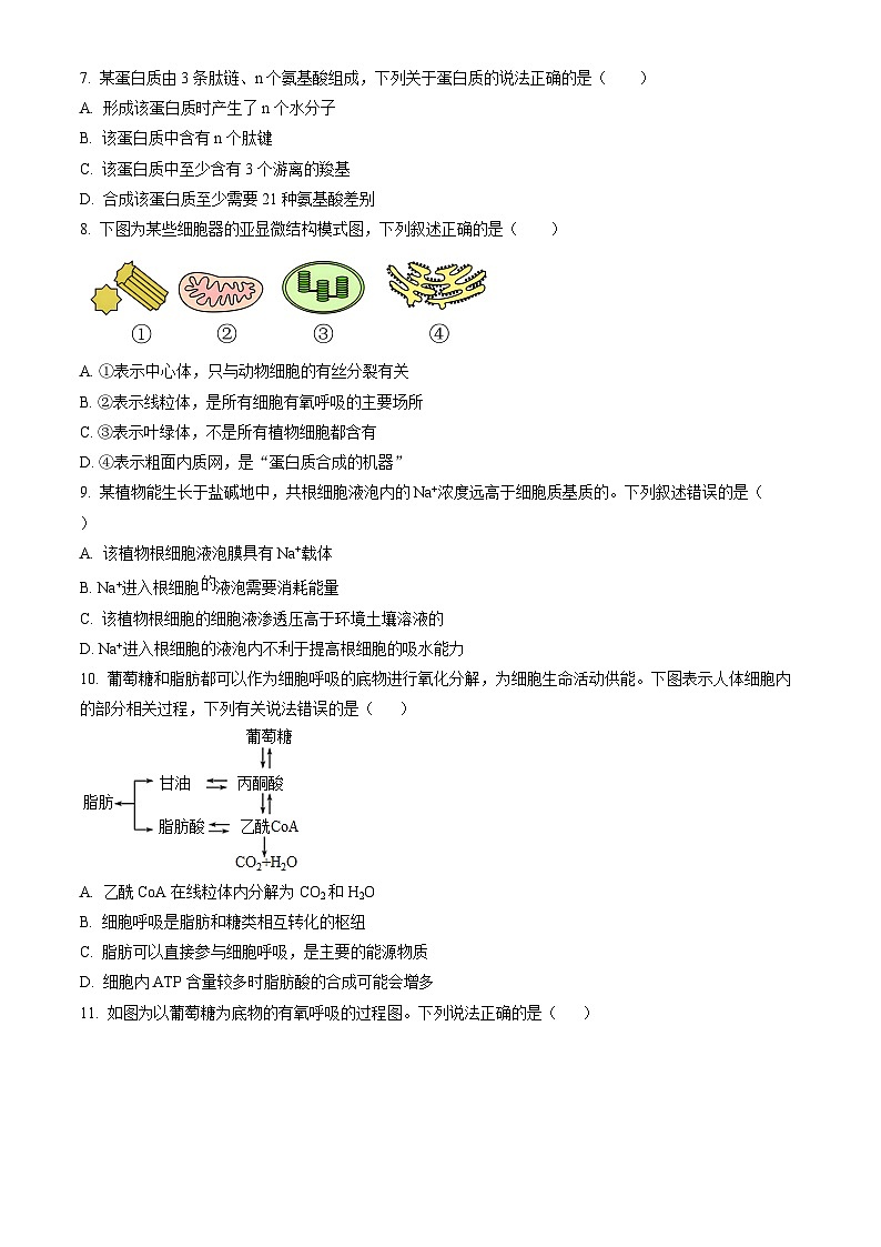 广东省湛江市雷州市二中2023-2024学年高一下学期开学生物试题(原卷版)第2页