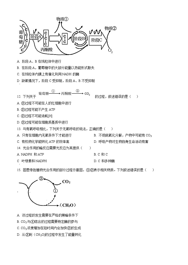 广东省湛江市雷州市二中2023-2024学年高一下学期开学生物试题(原卷版)第3页