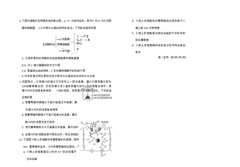 肇庆市2023-2024学年第一学期高一年级期末教学质量检测生物试卷第3页