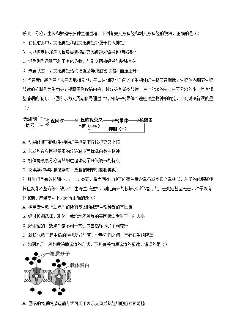 广东省深圳市龙岗区四校2023-2024学年高三上学期12月联合考试 生物（解析版）02