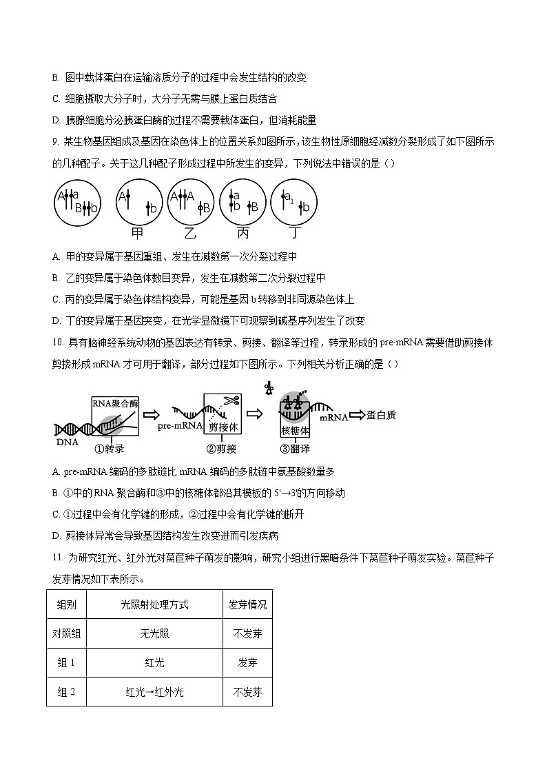 广东省深圳市龙岗区四校2023-2024学年高三上学期12月联合考试 生物(解析版)03