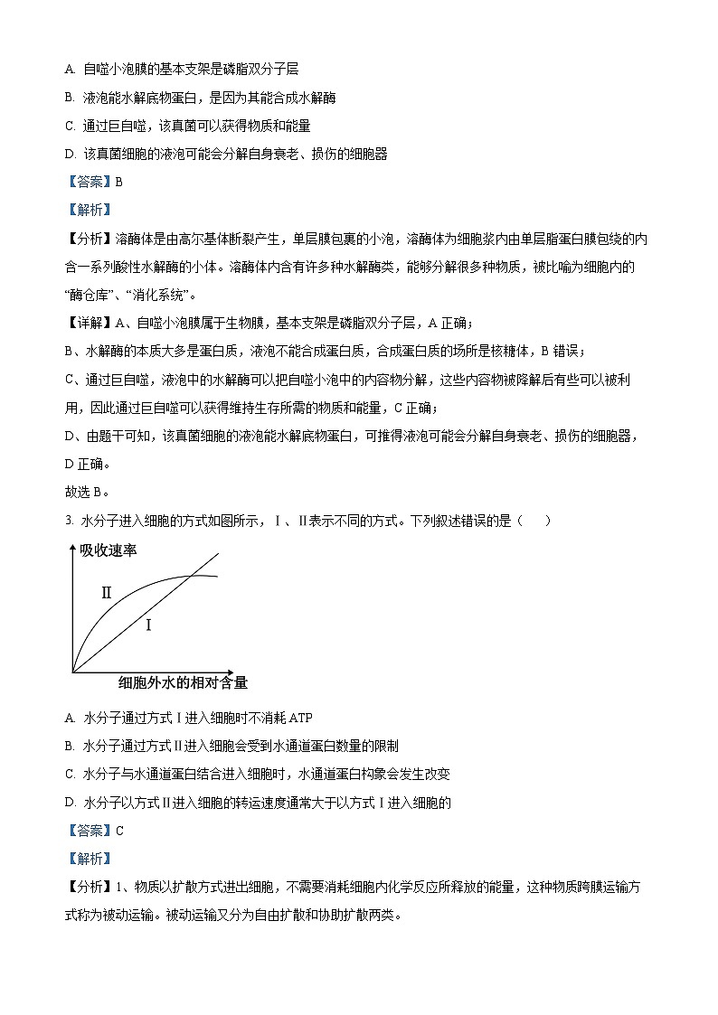 湖北省十堰市2023-2024学年高三1月调研考试生物试题 Word版含解析第2页