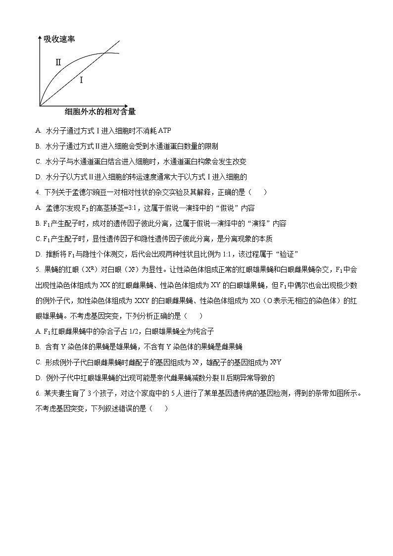 湖北省十堰市2023-2024学年高三1月调研考试生物试题(原卷版)第2页