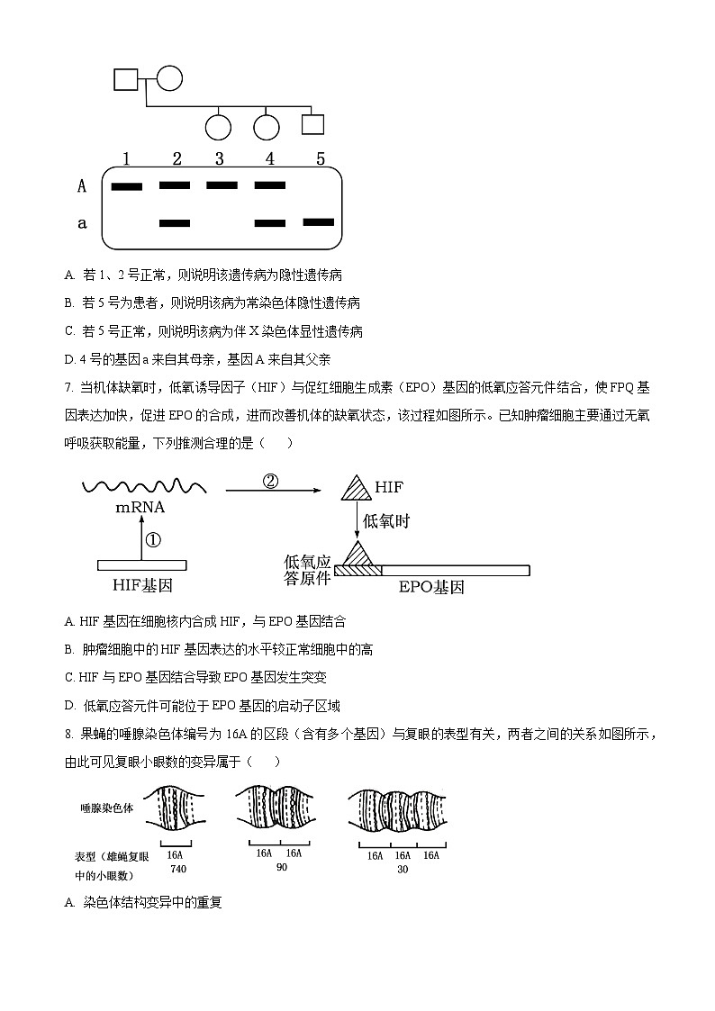 湖北省十堰市2023-2024学年高三1月调研考试生物试题(原卷版)第3页