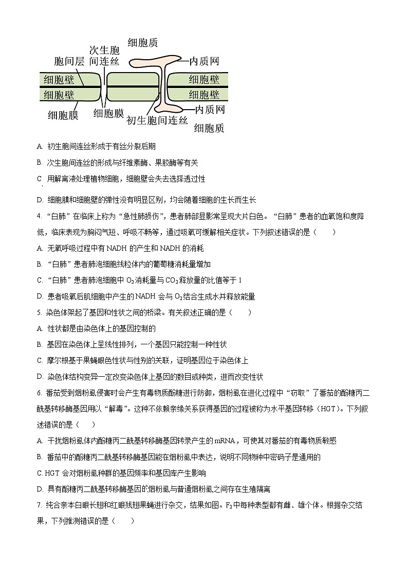 广西名校联盟2023-2024学年高三下学期2月联考生物试题(原卷版)第2页