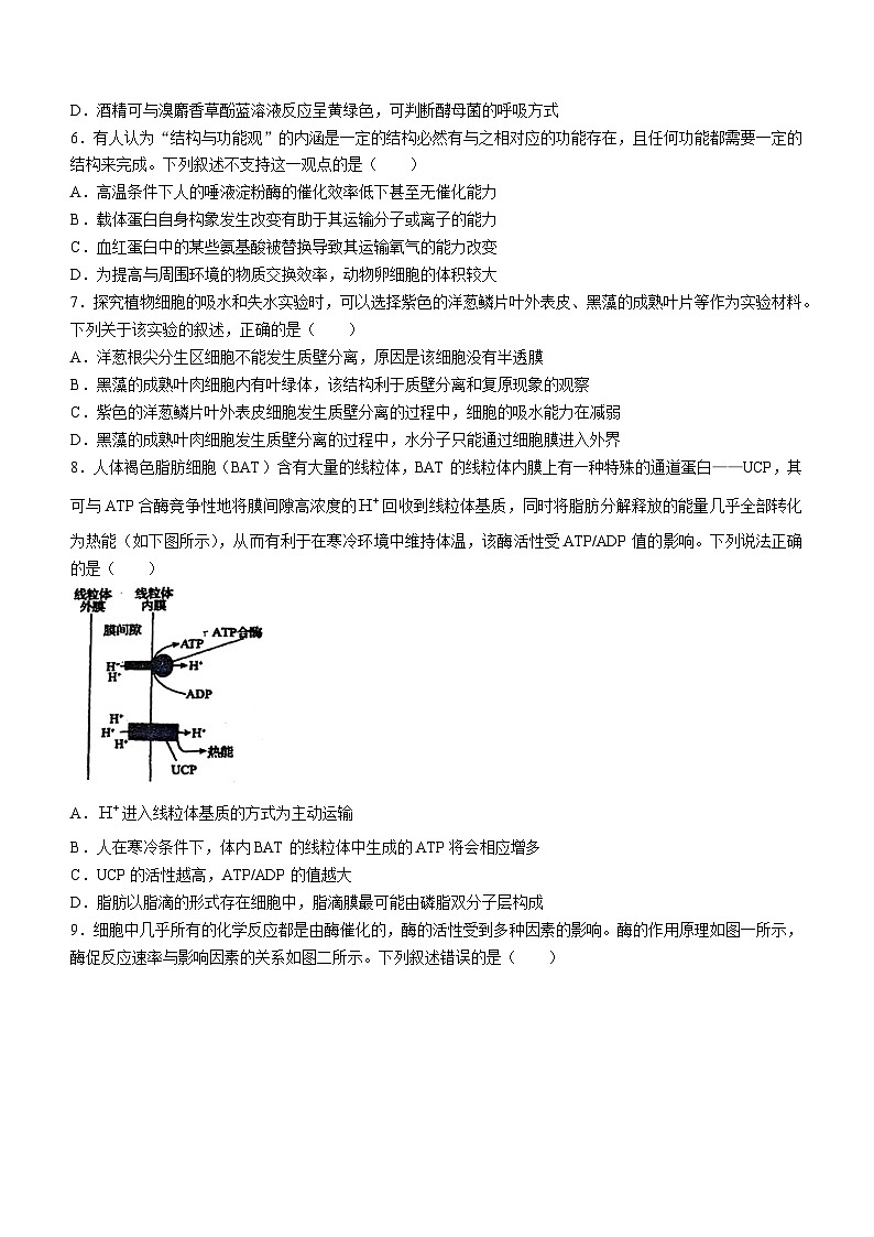 安徽师范大学附属中学2023-2024学年高一下学期3月月考生物试卷(Word版附答案)02