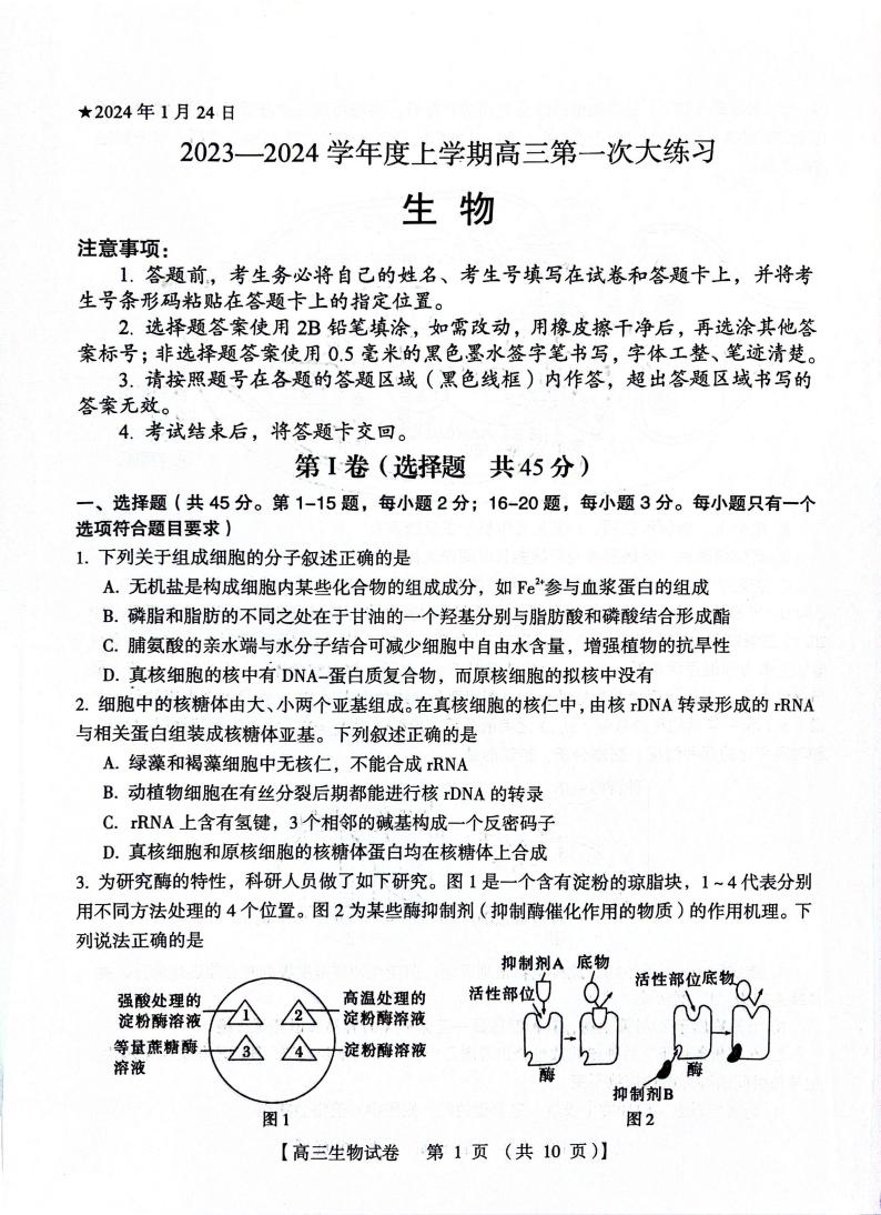 河南省三门峡市2023-2024学年高三上学期期末考试生物试卷（PDF版附答案）01