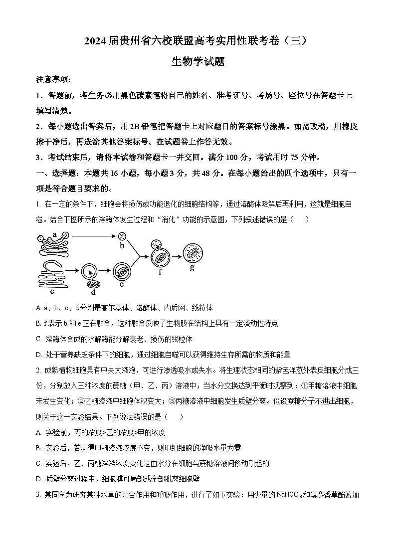 贵州省六校联盟2024届高三下学期高考实用性联考(三)(三模)生物试卷(Word版附解析)第1页