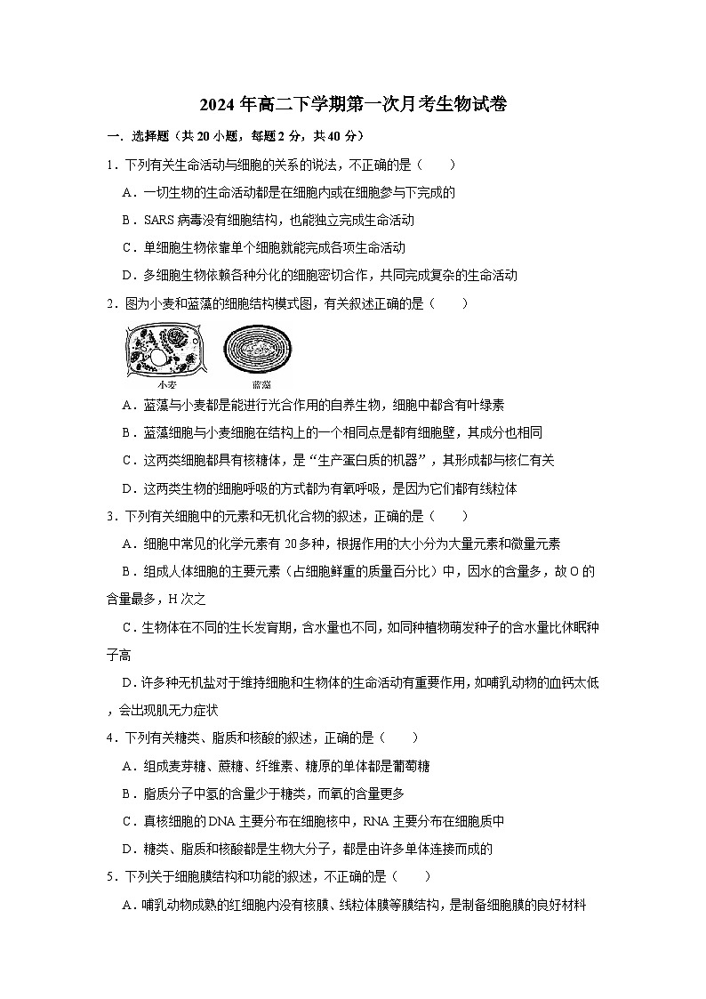 湖南省岳阳市岳阳县第一中学2023-2024学年高二下学期3月月考生物试题第1页