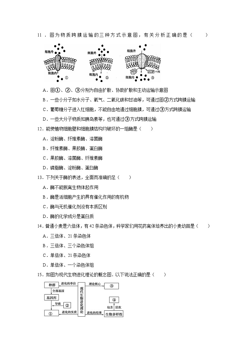 湖南省岳阳市岳阳县第一中学2023-2024学年高二下学期3月月考生物试题第3页