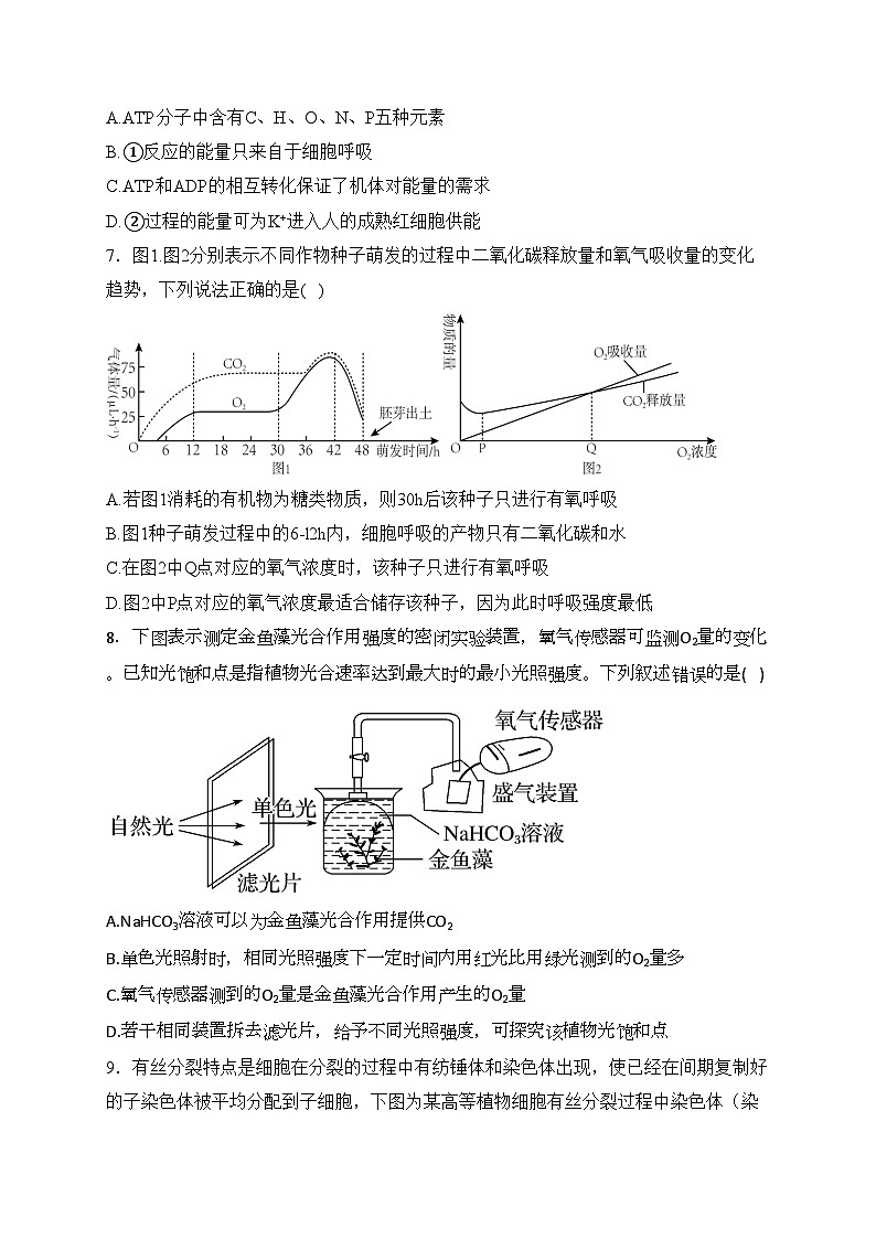 河北省盐山中学2023-2024学年高一下学期开学考试生物试卷(含答案)第3页