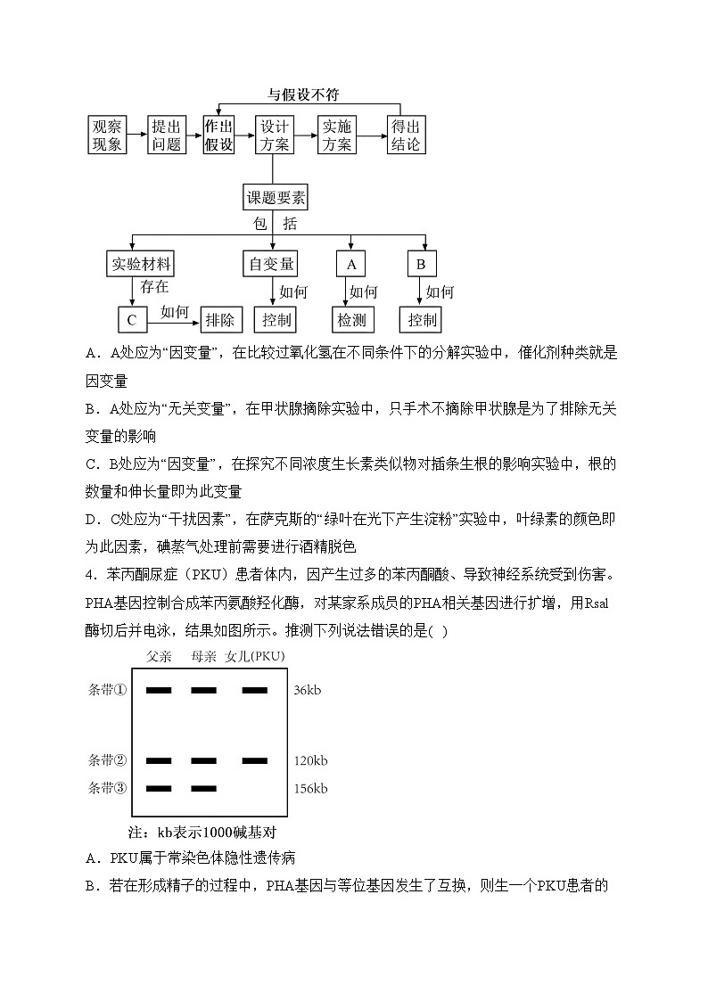 江西省上饶市2023-2024学年高三下学期第一次高考模拟考试生物试卷(含答案)第2页
