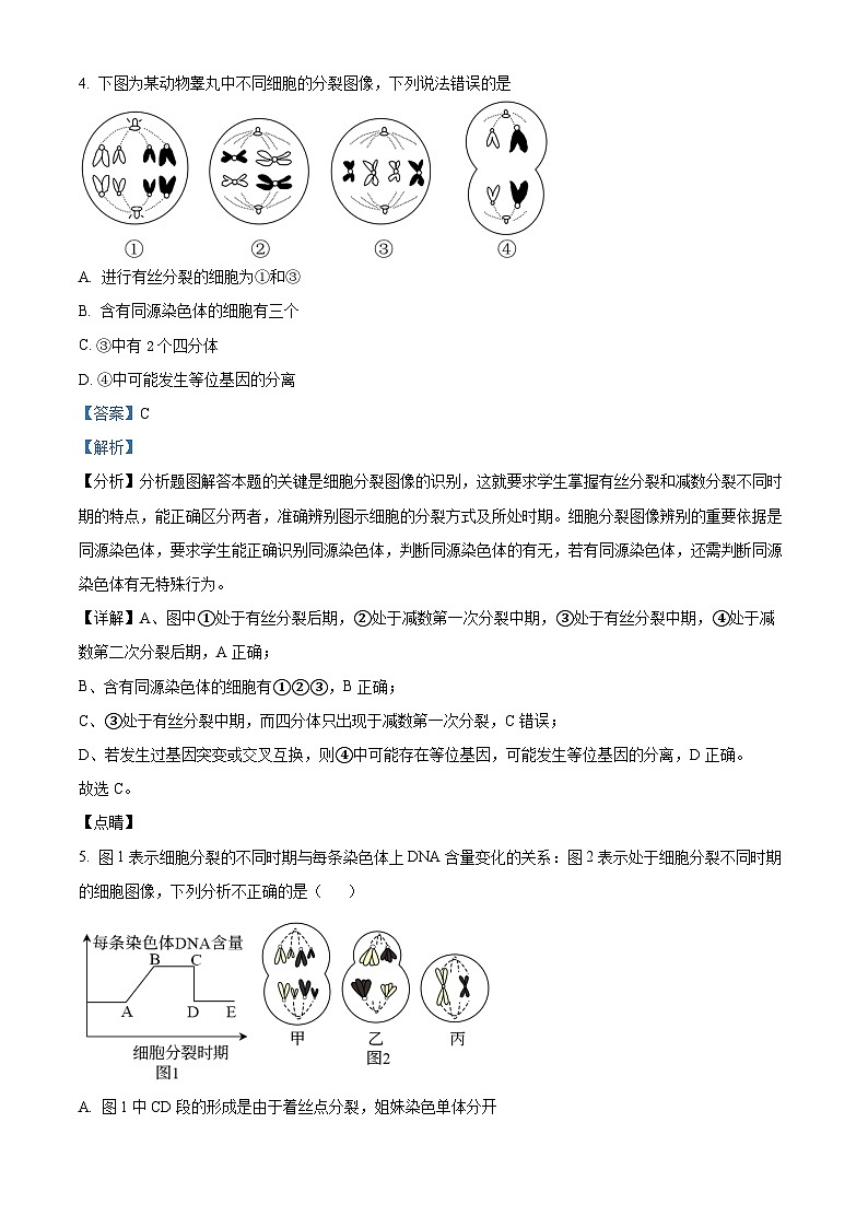 精品解析:2023届河南省南阳市六校高三第一次联考生物试卷(解析版)第3页