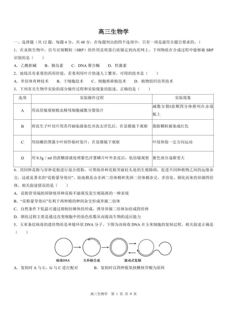 天津市红桥区2023-2024学年高三下学期第一次模拟考试生物试题01