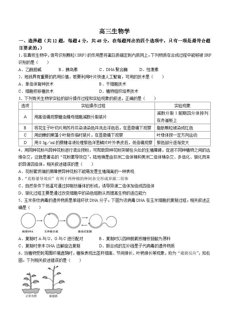 天津市红桥区2023-2024学年高三下学期第一次模拟考试生物试题01