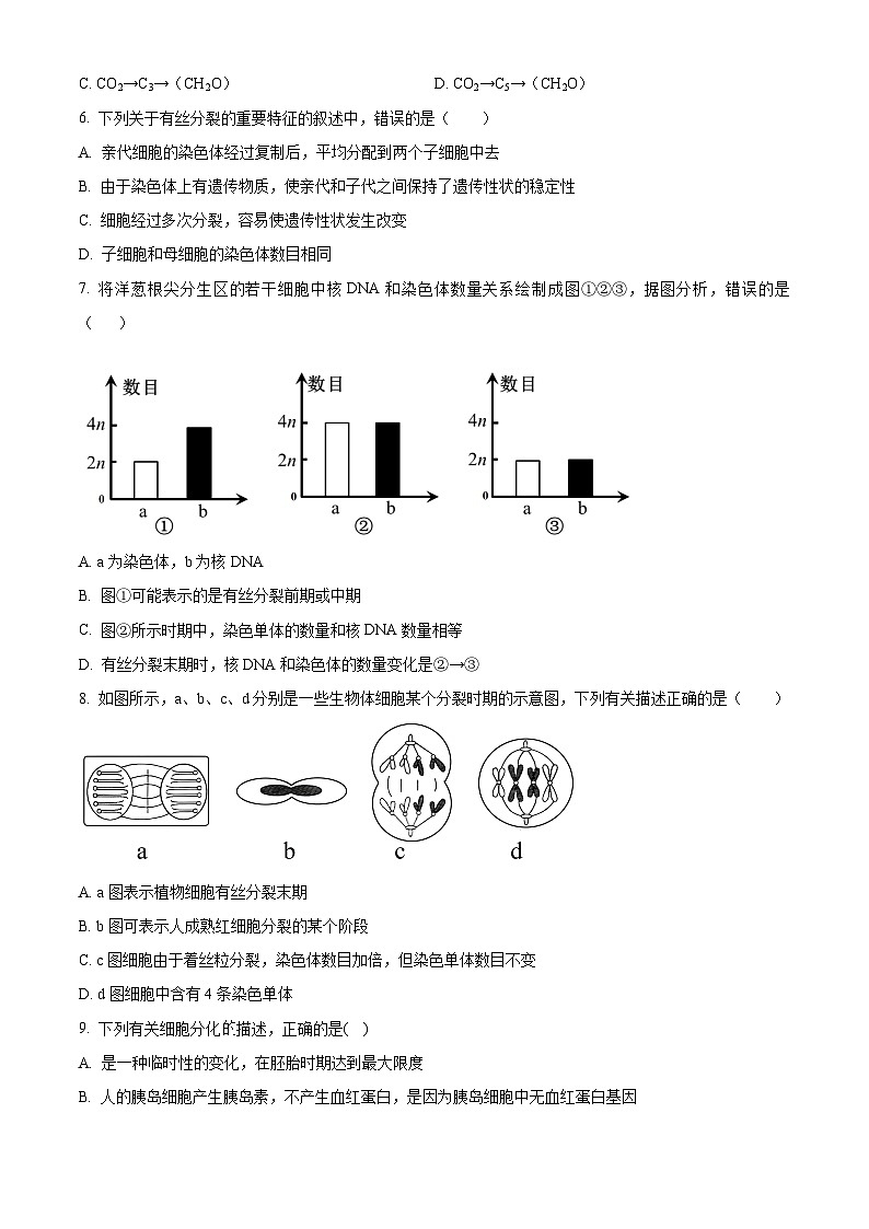 精品解析:江西省上饶市余干县私立蓝天中学2023-2024学年高一下学期第一次月考生物试题(原卷版)第2页