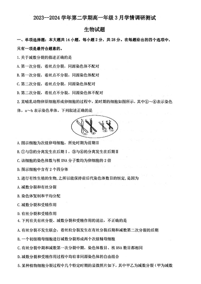 江苏省扬州市高邮市2023-2024学年高一下学期3月月考生物试题01