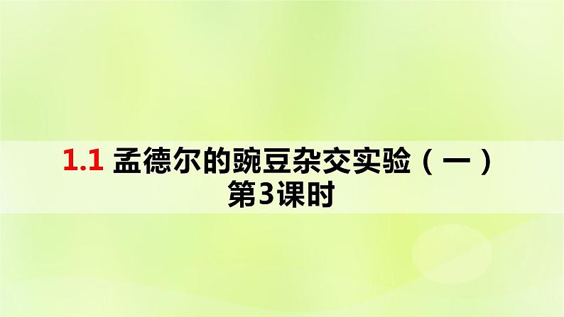 2024春高中生物第1章遗传因子的发现1.1孟德尔的豌豆杂交实验一第3课时课件新人教版必修2第1页