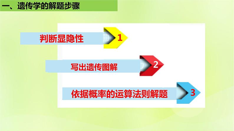 2024春高中生物第1章遗传因子的发现1.1孟德尔的豌豆杂交实验一第3课时课件新人教版必修2第5页