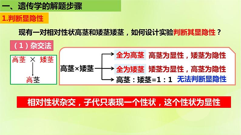 2024春高中生物第1章遗传因子的发现1.1孟德尔的豌豆杂交实验一第3课时课件新人教版必修2第6页