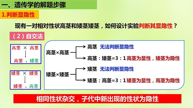 2024春高中生物第1章遗传因子的发现1.1孟德尔的豌豆杂交实验一第3课时课件新人教版必修2第7页