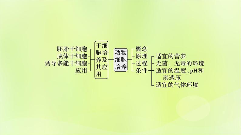 2024春高中生物第2章细胞工程第2节动物细胞工程2.1动物细胞培养课件新人教版选择性必修3第2页