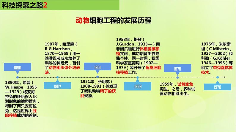 2024春高中生物第2章细胞工程第2节动物细胞工程2.1动物细胞培养课件新人教版选择性必修3第3页