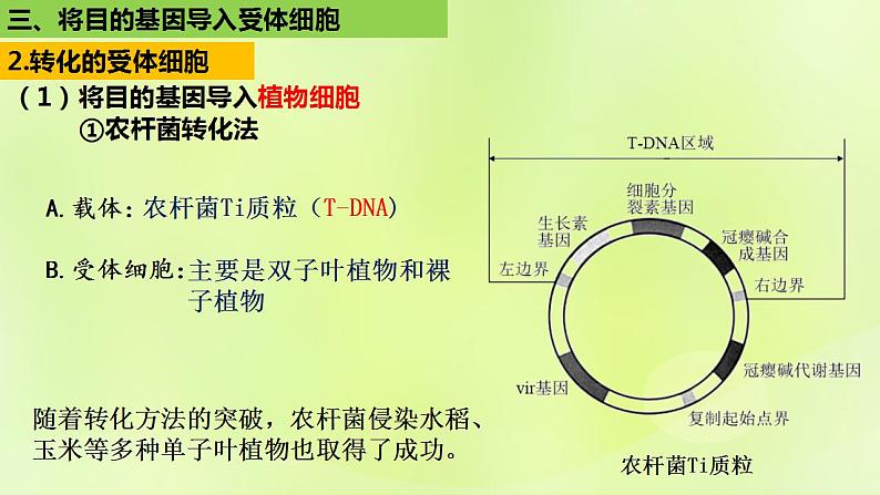 2024春高中生物第3章基因工程3.2基因工程的基本操作程序第2课时课件新人教版选择性必修3第6页