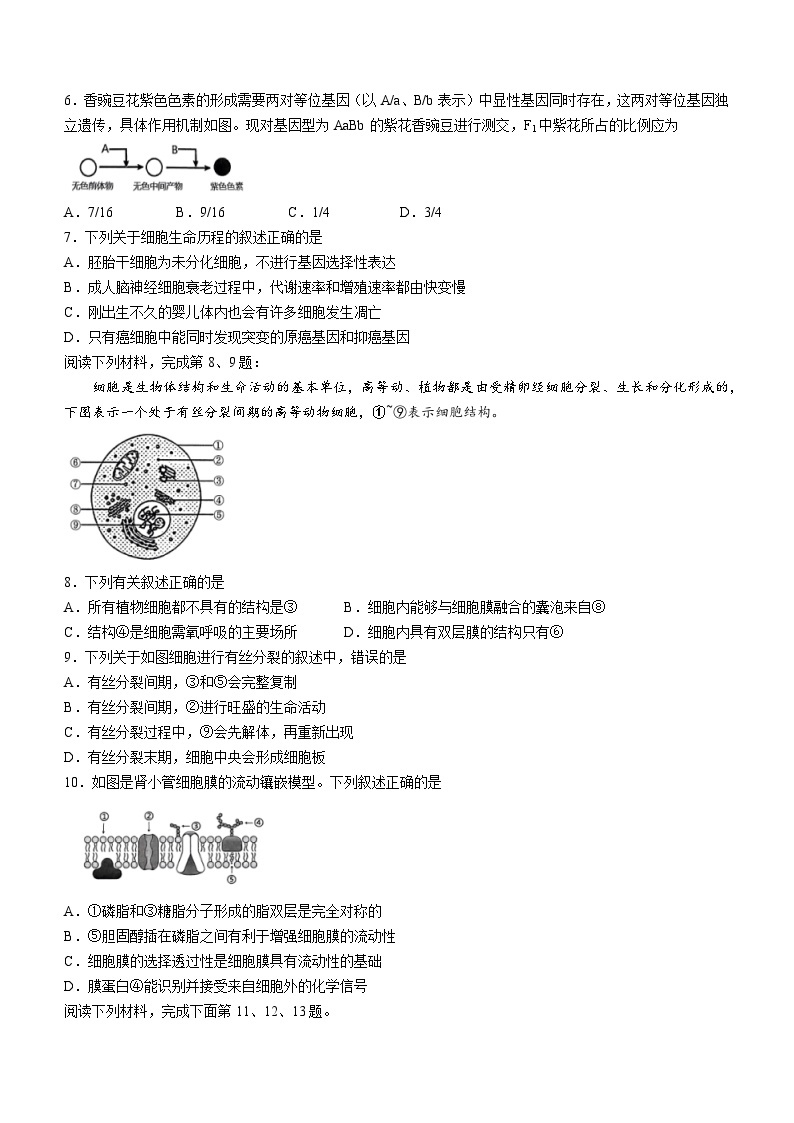 2024浙江省四校联考高一下学期3月月考试题生物含答案02