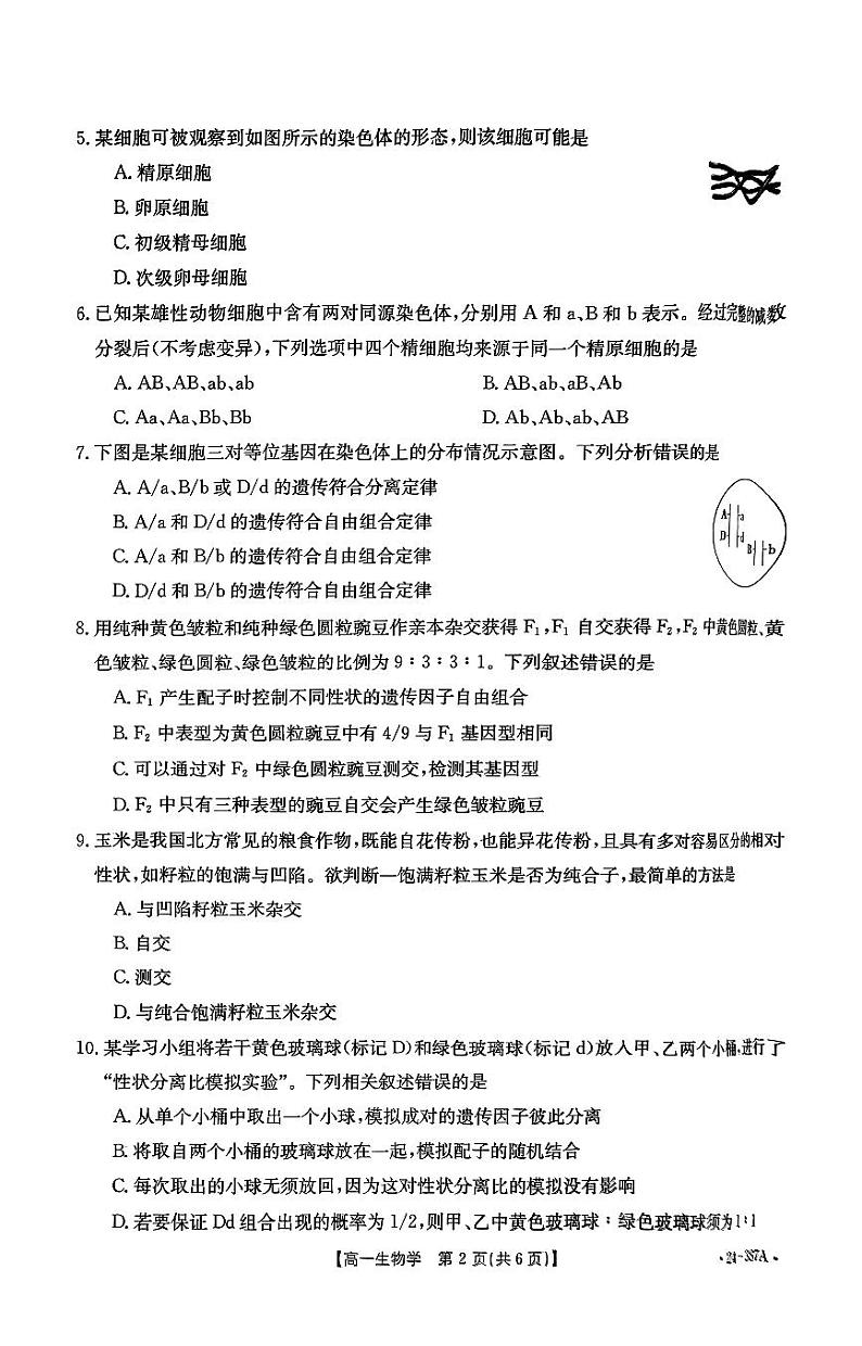 河北省保定市部分高中2023-2024学年高一下学期3月月考生物试卷(PDF版附答案)02