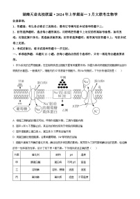 湖南省衡陽市2023-2024學(xué)年高一下學(xué)期3月聯(lián)考生物試卷（原卷版+解析版）