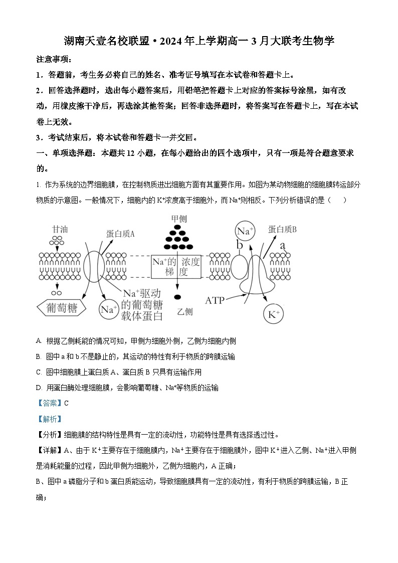 湖南省衡阳市2023-2024学年高一下学期3月联考生物试卷（原卷版+解析版）01