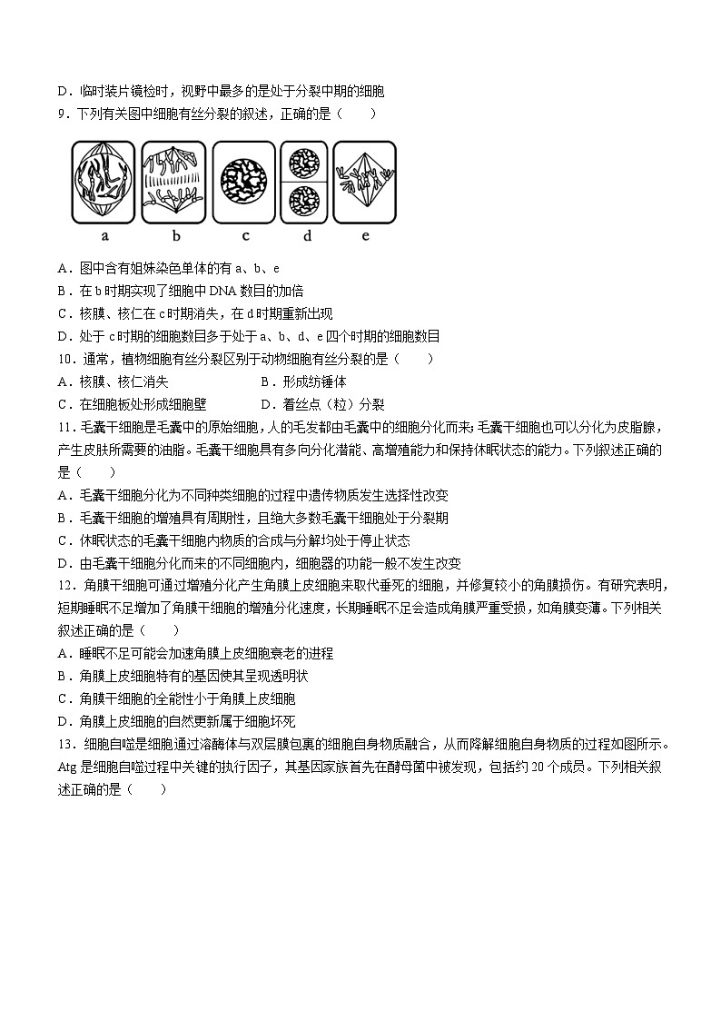 广东省茂名市高州市四中2023-2024学年高一下学期3月月考生物试题第2页
