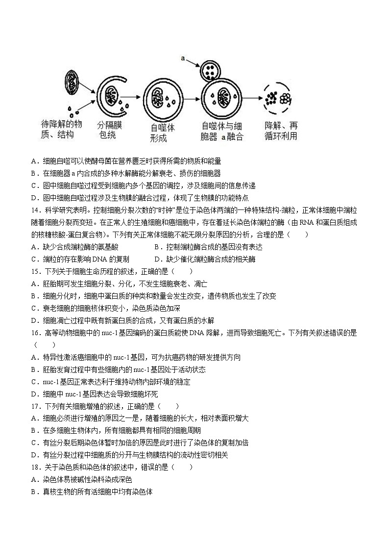 广东省茂名市高州市四中2023-2024学年高一下学期3月月考生物试题第3页